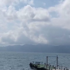 シーモアグラス