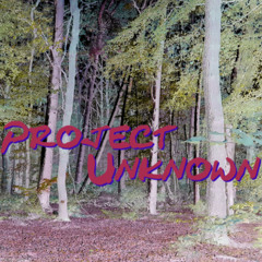 Project Unknown