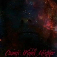 Egotistical Dirt Interlude (Prod. Brokaa) - Roepoet - Cosmic Winds Mixtape