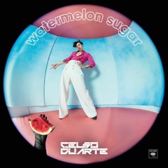 Harry Styles, Lucas Monteiro - Watermelon Sugar (Celso Duarte Mashup) TEASER