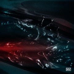 Gost in the Machine