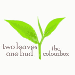 06 2025.10 Comp45 - thecolourbox - Two Leaves, One Bud