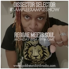 SAMPLE EXAMPLE SHOW - Reggae Meets Soul