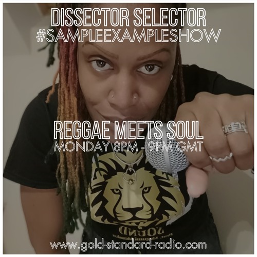 SAMPLE EXAMPLE SHOW - Reggae Meets Soul