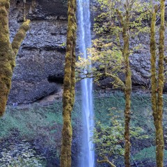 Ponderosa *Demo (Dream Pop)