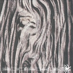 Echoes of Belonging - Basalt (002hz)