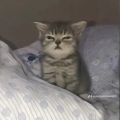 MỘT TRIỆU LIKE FT LE TOUR DE TRANCE REMIX | NVD |.MP3