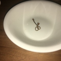 Cherrystone Archive Sample