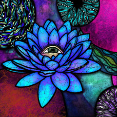 The Bunk - Dead Flower Garden