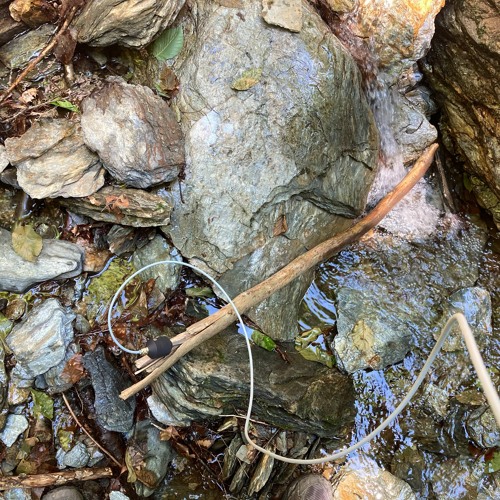 Geofón - Mt.Greylock Stream 06