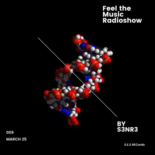Feel the music Radioshow March 2025 by S3NR3