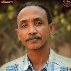الشاعر عاطف خيري _ مسدار الملاماتي