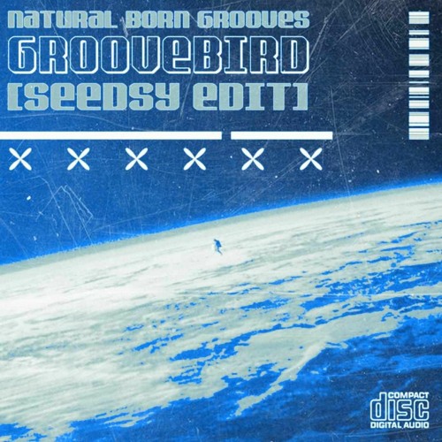 Preview (wip)  Natural Born Grooves - Groovebird (SEEDSY Edit)