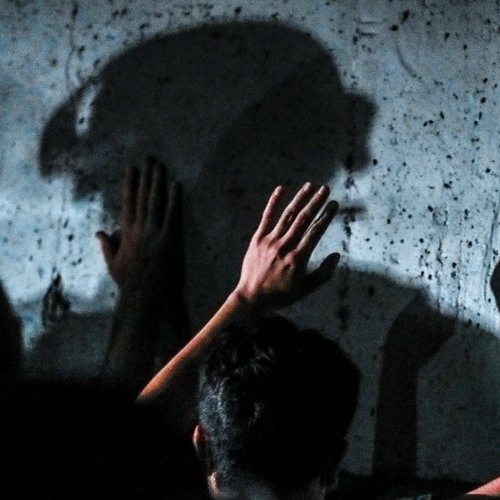 464D - FEDS (live)