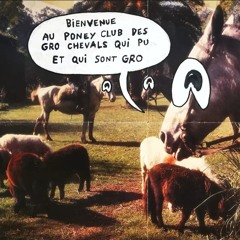 Le gro cheval qui pu et qui est gro(Dawless livetrack)