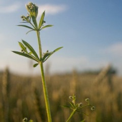 Retiro para renacer y crecer - Dia 20