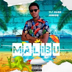 Malibu (AfroBeat) 2023 - DJ Jildo Júnior