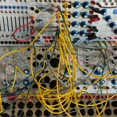 Random Buchla Critters