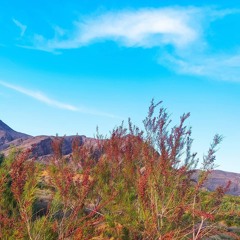 Brahui_Song_(Chiltani_gahush)_by_Abdul_Khaliq_Farhad_and_Nosheen_Qambrani(128k)