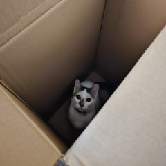 Met You (prod. @1ohmygon x @rl.beats)