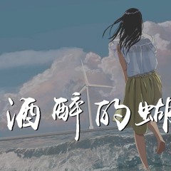 孙艺琪 - 酒醉的蝴蝶【動態歌詞/Lyrics Video】