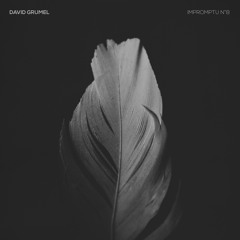 IMPROMPTU N°8 | David Grumel