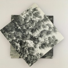 après-midi (slow release)