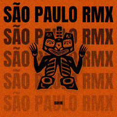 SÃO PAULO RMX