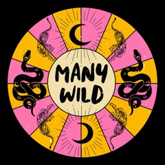 Blend Demo (Rough Mix)_1.wav