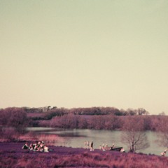 Lake Day