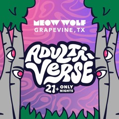 Meow Wolf - Jan 25 2024