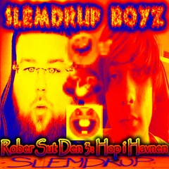 SL3MDRUP B0YZ - R0B3R SUT DEN! PT. 3: H0P 1 H4VNEN;!!