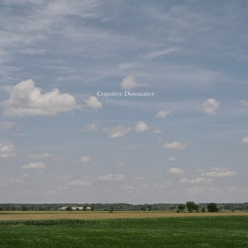 Cognitive Dissonance