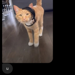 this grip on me like superglue‼️ //prod. jolst