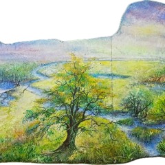 2. Frühgeschichte