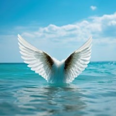 Fly (Original Song)