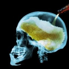 Alcohol [with PJ PROJECT]