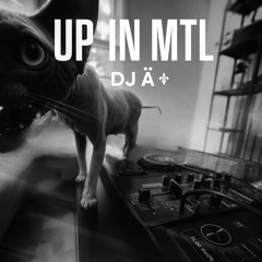 Live Dance EDM Set - UpMTL 2025/08/14