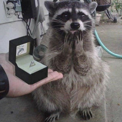 apple cider - beabadoobee