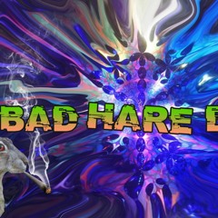 BAD HARE DAY B2B DIRTY PROG BEGZSICK PT1 9-11PM