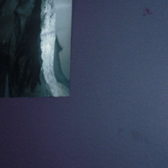 scene (prod. somnya)