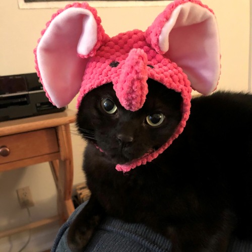 Blameless (Demo) And Whom Noise