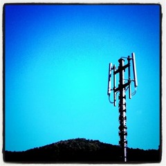 Music, When Soft Voices Die