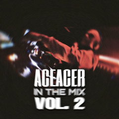 IN THE MIX VOL. 2