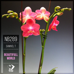Samvel T - Beautifull World (Original Mix)