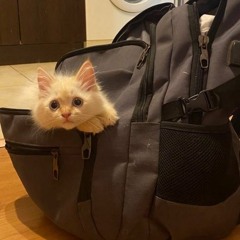 babypills + Invertebrate - puzzles🧩 (prod.rubbish)