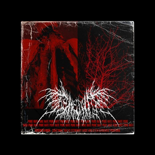 Premiere: ROT - Behemoth (PURE HATE)