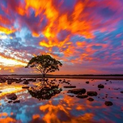 WaLTeK - it whistles