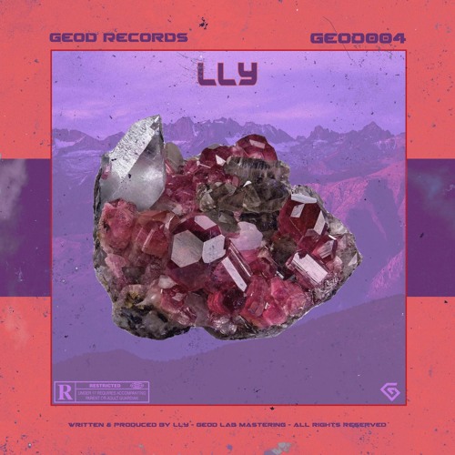 Introspection [GEOD004]