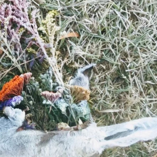 Polo perks <3 <3 <3 x AyooLii-Ricky eats acid